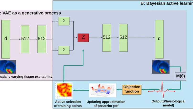 Fast Posterior Estimation of Cardiac Electrophysiological Model Parameters via Bayesian Active Learning