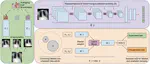 Semi-supervised Medical Image Classification with Global Latent Mixing