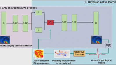Fast Posterior Estimation of Cardiac Electrophysiological Model Parameters via Bayesian Active Learning featured image