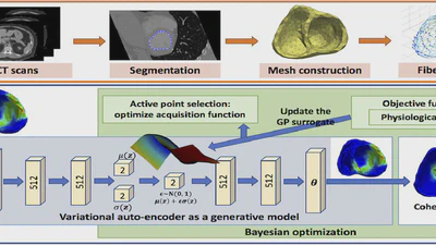 Embedding High-dimensional Bayesian Optimization via Generative Modeling: Parameter Personalization of Cardiac Electrophysiological Models featured image